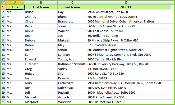 Excel Spreadsheet file